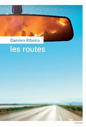 Damien Ribeiro - Les routes